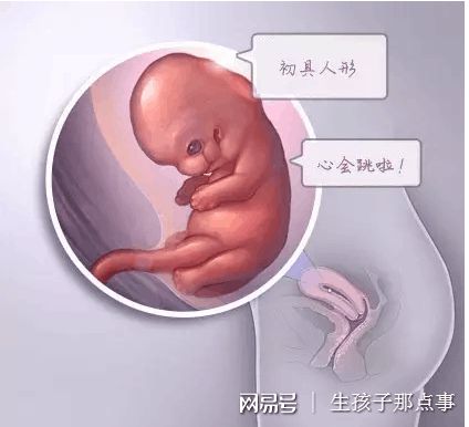 王晨光主任